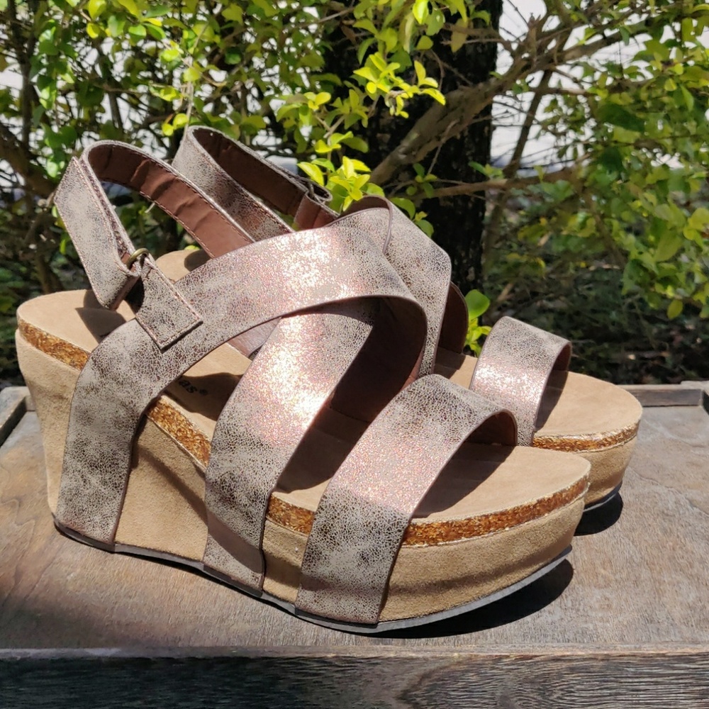 Pierre Dumas Wedge Platform Strappy Bronze Sandals